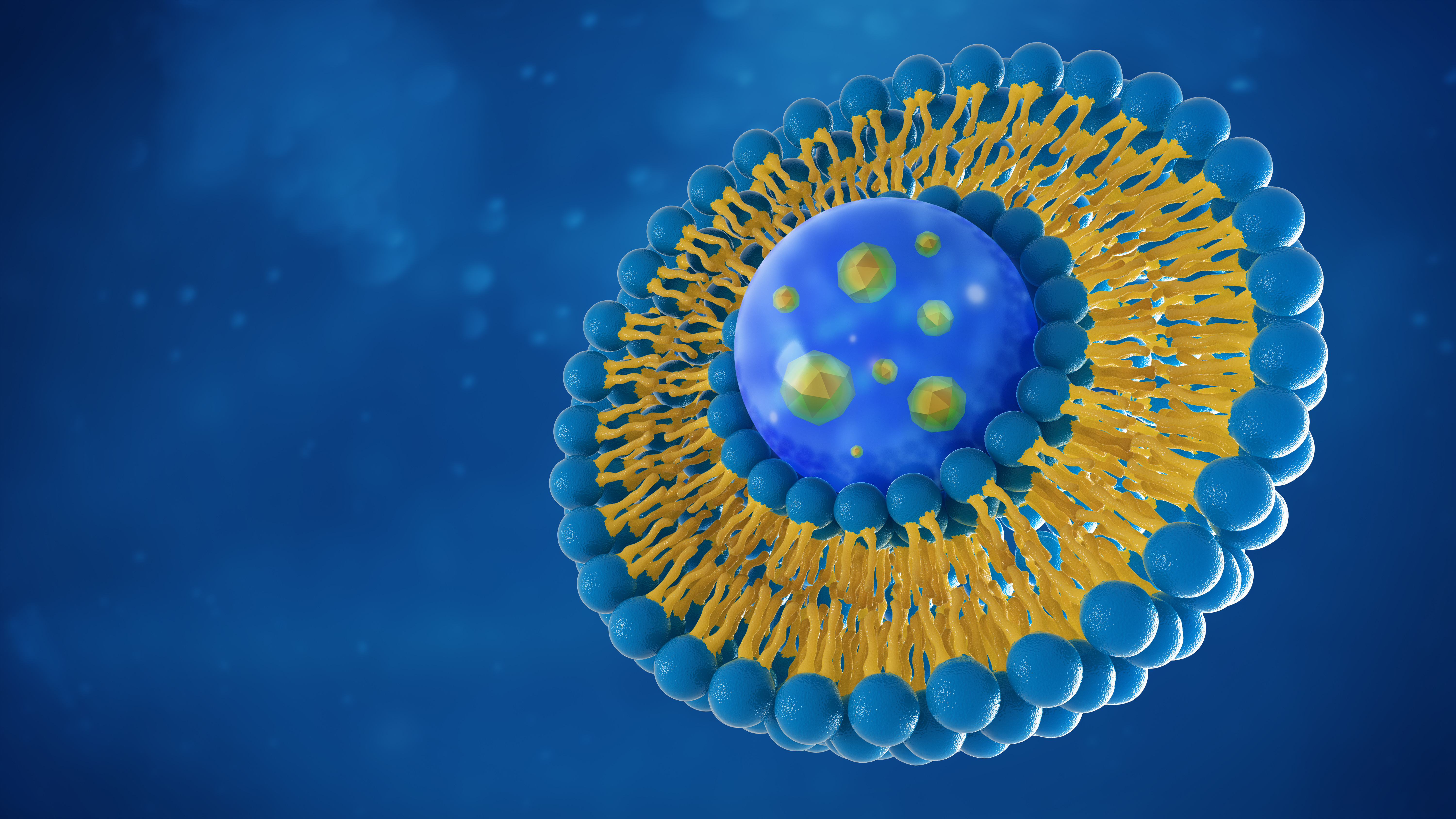 C’est une nouvelle façon de traiter les maladies inflammatoires chroniques de l’intestin (MICI), avec des nanoparticules lipidiques (Adobe Stock 228277001)