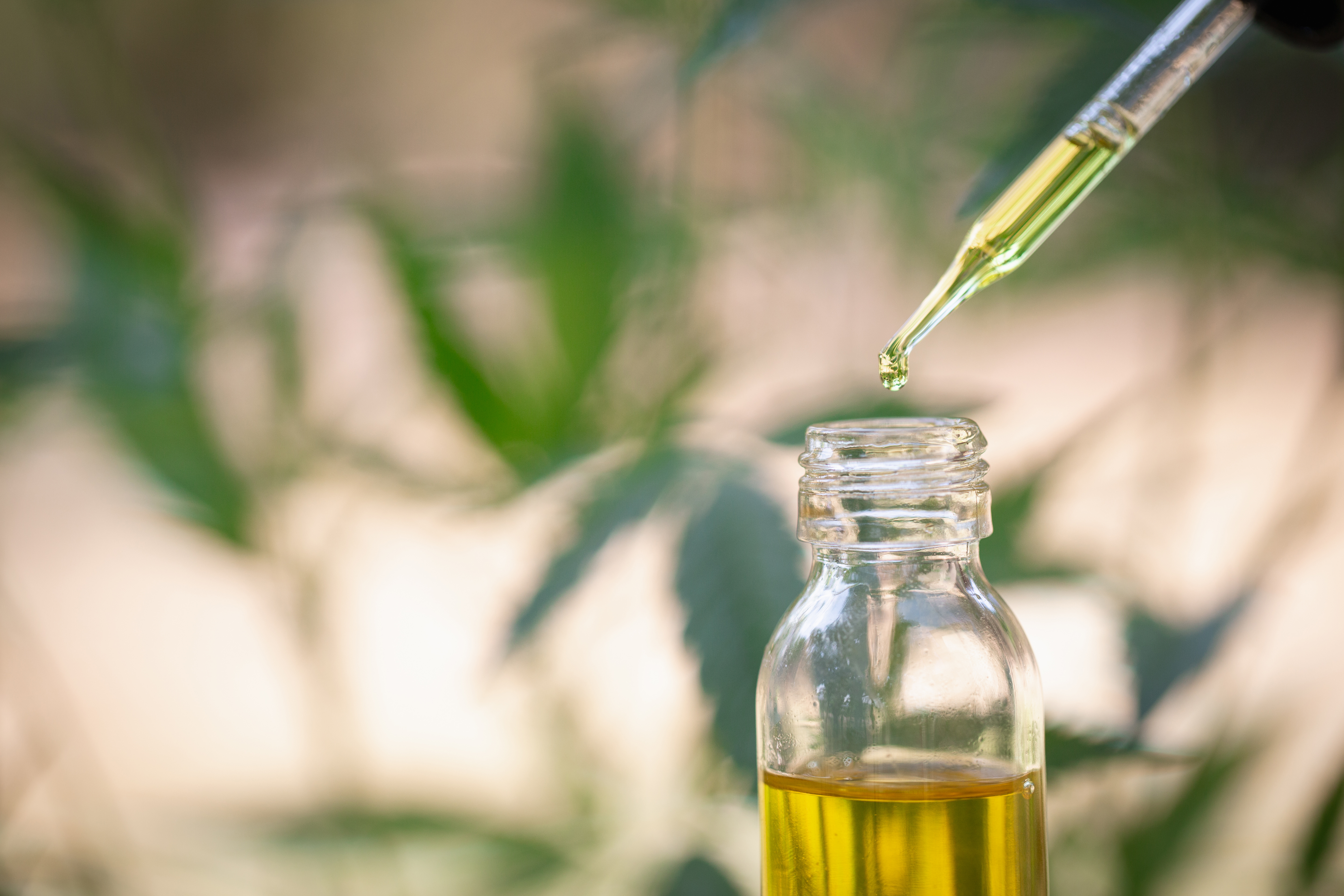 Un point sur l’état de la science, des usages, des formes … et des limites du cannabidiol (Visuel Adobe Stock 253275358)