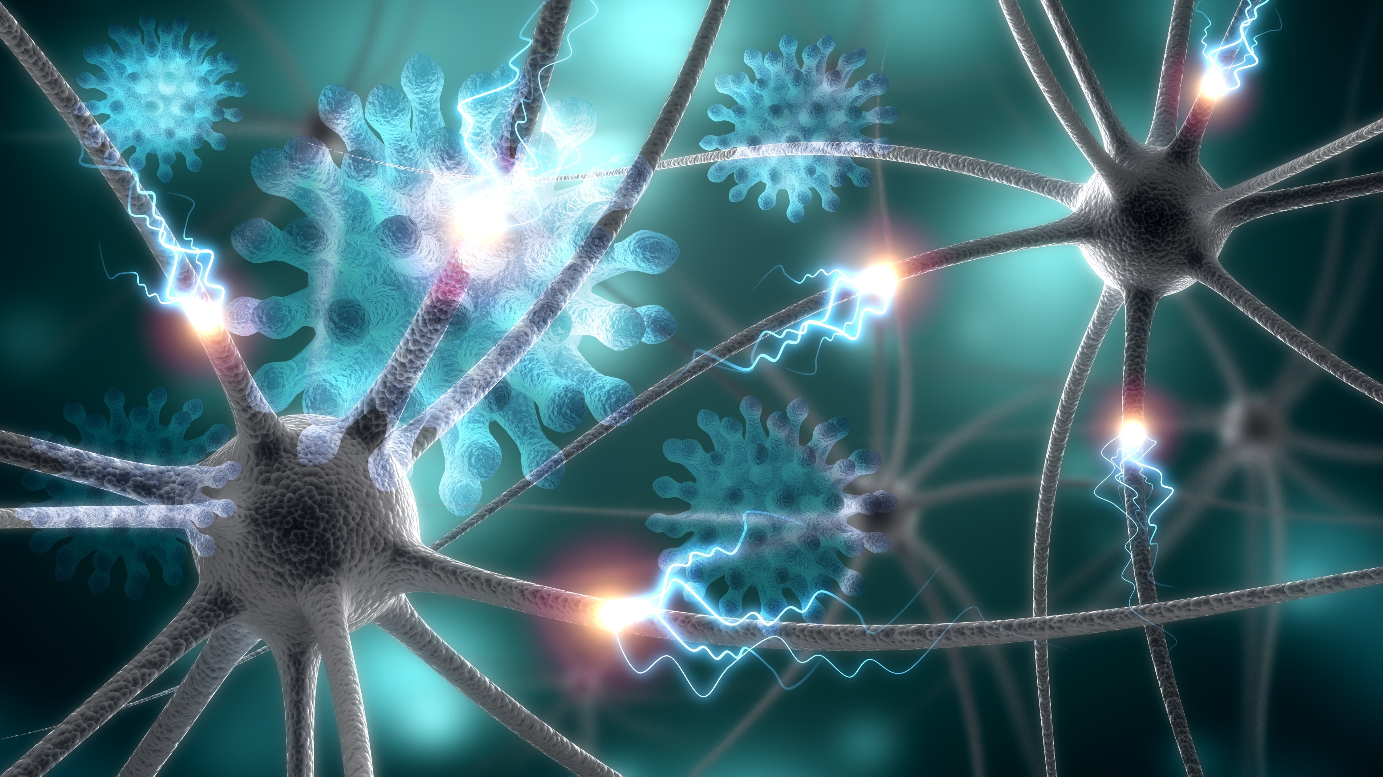 La thérapie par l'hormone de libération des gonadotrophines (GnRH) permet d’améliorer la fonction cognitive, ici chez des souris modèles de trisomie 21 (ou syndrome de Down) mais également chez des patients trisomiques masculins (Visuel Adobe Stock 309080008)