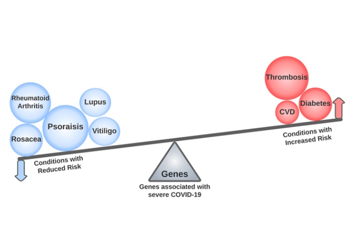 Près de 2 ans après le début de la pandémie, cette analyse phénomiquenous propose, dans la revue PLoS Genetics, un bilan des liens génétiques entre le COVID-19 sévère et d'autres maladies (Visuel PLoS Genetics).