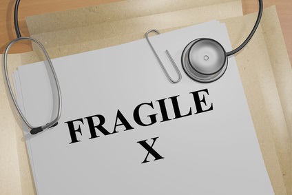 Les chercheurs rétablissent une partie des fonctions de la protéine FMRP impliquée X Fragile (Visuel Fotolia_159544725_XS X)