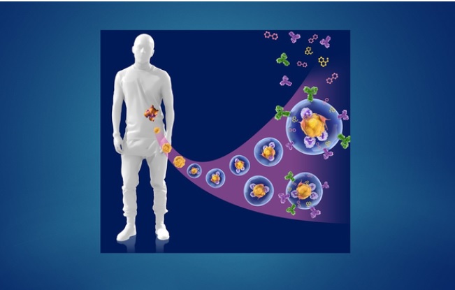 Cette nouvelle technologie microfluidique permet en effet de produire ces micro-organosphères (MOS) à partir de biopsies de patients cancéreux en seulement une heure (Visuel Cell Stem Cell).