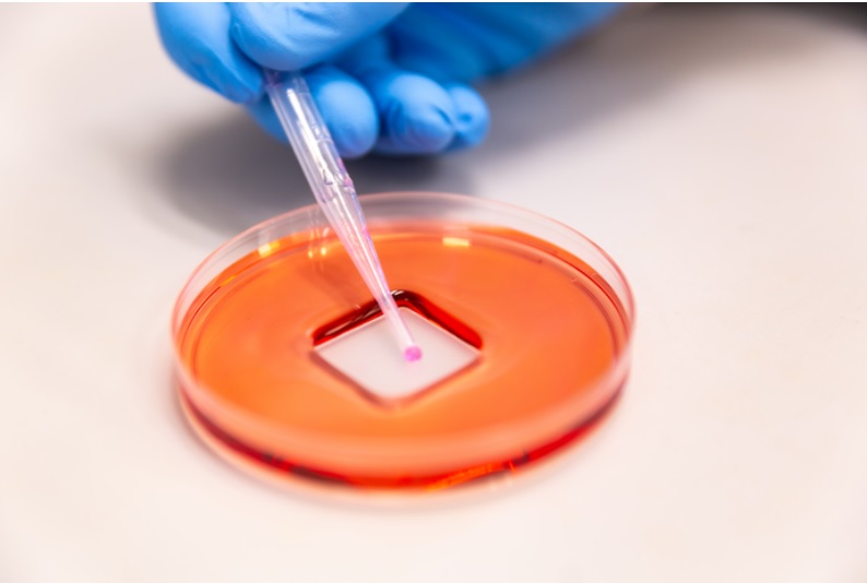 Un revêtement par pulvérisation qui protège les surfaces contre les virus et les bactéries (Visuel Cesar Nicolas, University of Melbourne)