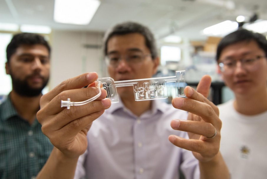 Ce nouveau test COVID à domicile, basé sur la salive, se révèle aussi efficace que la PCR selon cette analyse préliminaire menée à la Penn State (Visuel Kelby Hochreither, Penn State)