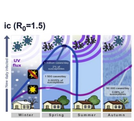 Le modèle prédit des cycles intermittents et marqués, qui finissent par se stabiliser (Visuel Paolo Bonfini, Université de Crète)