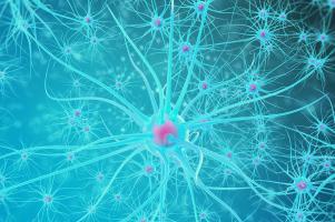 De nouveaux capteurs de dopamine pourrait permettre de percer les mystères de la chimie cérébrale avec une technique d’imagerie de « nouvelle génération » (Visuel Adobe Stock 114519500)