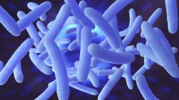 Des signatures microbiennes distinctes sont retrouvées chez les patients atteints de polypes (Adobe Stock 238536871)