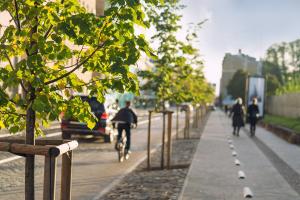 Vivre dans la verdure ralentirait le déclin cognitif à un rythme annuel de 8 mois, soit d’un tiers (Visuel Adobe Stock 302465046)