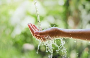 10 minutes en pleine nature apportent déjà « un mieux » aux personnes souffrant d’un trouble de la santé mentale (Visuel Adobe Stock 431481922)