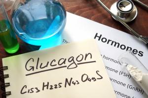 Cet article de revue de la littérature met en lumière le nombre croissant de preuves qui suggèrent le potentiel des médicaments à base de glucagon-like peptide-1 (GLP-1) dans le traitement de conditions autres que le diabète et l'obésité (Visuel Adobe Stock 94597676)