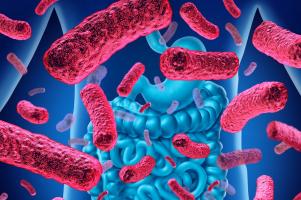 Des changements dans le mucus intestinal peuvent contribuer au déséquilibre bactérien et exacerber les symptômes fondamentaux de troubles cérébraux comme l'autisme, la maladie de Parkinson, la maladie d'Alzheimer et la sclérose en plaques (Visuel Fotolia)