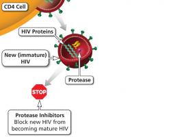 Une thérapie antirétrovirale (TARV) à long terme, avec des inhibiteurs de la protéase pourrait permettre de prévenir l'infection COVID-19 (Schéma NIH). 