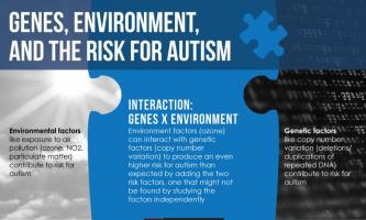 Niveau de variation génétique élevé et exposition à l'ozone et risque encore plus élevé de développer l'autisme. 