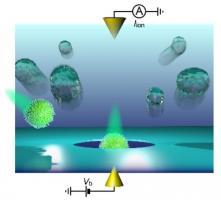 Un outil diagnostique numérique basé sur l'analyse par nanopore et l'intelligence artificielle, est capable de caractériser des virions individuels en fonction de leurs caractéristiques physiques distinctes