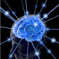 Il est aujourd’hui démontré que les crises d'épilepsie sont liées à une perte de mémoire et à d'autres déficits cognitifs
