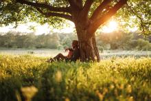 Profiter de la nature fait du bien au cerveau et à l’immunité (Visuel Adobe Stock 292419322)