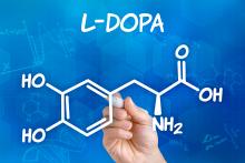 L'étude décrypte le rôle de la dopamine dans la promotion de la néprilysine, une enzyme capable de décomposer les plaques nocives caractéristiques de la maladie d’Alzheimer (Visuel Adobe Stock 83227395).